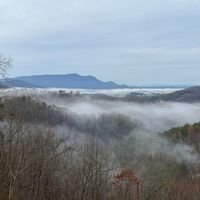 Sharon Negus's profile image