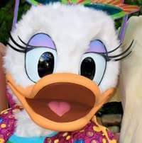 Toni McKinnon's profile image