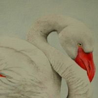 Fran Clark's profile image