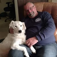 David Brower's profile image