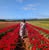Cheryl Tatzkie G.'s profile image