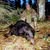 Fred Ickes's profile image