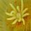 Sheryl W.'s profile image
