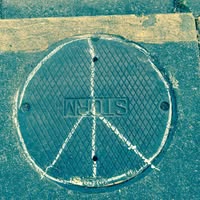 Jack Cass's profile image
