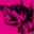Laser Burners's profile image