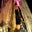 vivan thi tang's profile image