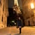 Cynthia Hope Rogers's profile image