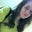 Tricia Baczek's profile image