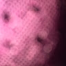 Tatiana M.'s profile image