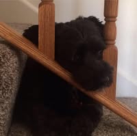 Howard Bliven's profile image