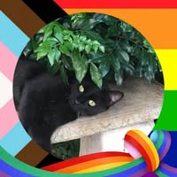 Marie Morrison's profile image