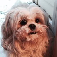 Terrell James's profile image
