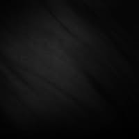 Lynn Battle's profile image