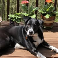 Cathie Stahlkuppe's profile image