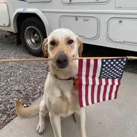 Mike Warriner's profile image