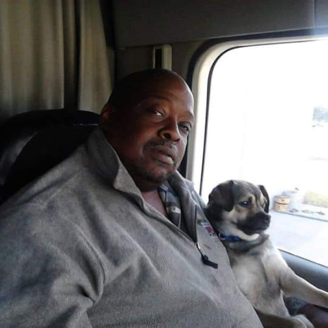 Roland Jones's profile image