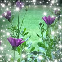Debbie Hall Kluchar's profile image