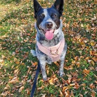 Heidi Wyma's profile image