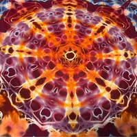 Michael Fauntleroy's profile image