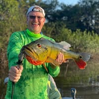 Gregg Buffington's profile image