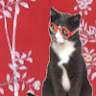 Jessica W.'s profile image