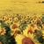 Gilbe Gilb's profile image