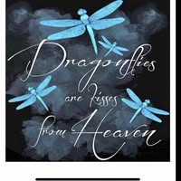 Donna Brassor's profile image