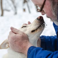 Lee A Van Fossen's profile image