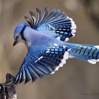 Tanya Ducharme's profile image