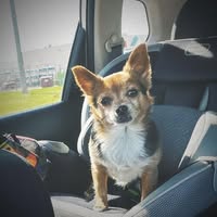 Shannon Kinney's profile image
