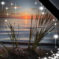 Carol Marie Schiltroth's profile image