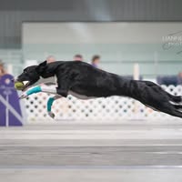 Kendra Lutz-Vetters's profile image