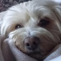 Leona Kirchenberger's profile image