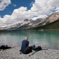 Carolyn Selin's profile image