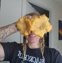 Amanda Johnston's profile image