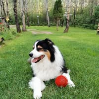 TedandJana Dakin's profile image