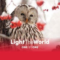 Gayle Bell's profile image