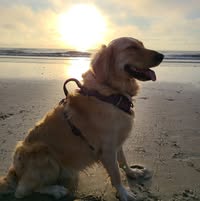 Kathy Convery's profile image