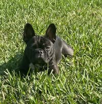 Larry Hickey's profile image