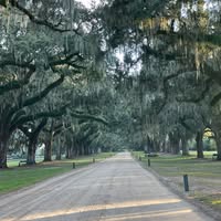 Kathy Warren's profile image