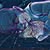 Marion Scott's profile image