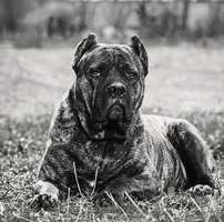 Sherie Wiggins-Flood's profile image
