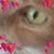 Pam Cagle's profile image