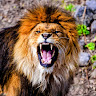 BAS M.'s profile image