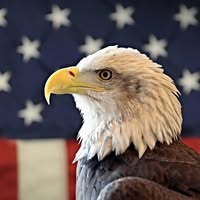Randy King's profile image