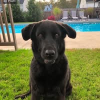 Susan Mary's profile image