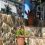 Mysia B.'s profile image