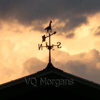 VQ Morgans's profile image