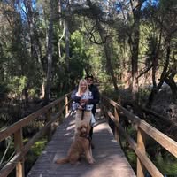 Linda Swaine's profile image