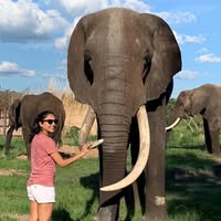 Salena Abraham's profile image